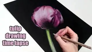 Draw AMAZING Flowers with Caran d'Ache Luminance