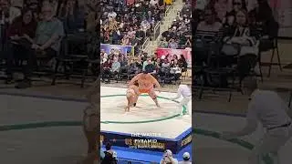 Sumo Championship Funny Moments || Kid vs Sumo Champion #sumo