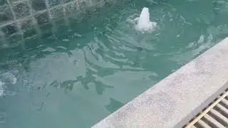 Confirm Swimming Pool construction Plan Today Book Now contact no +917607878315