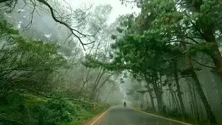 Mountain road drive tour in India | Misty road drive | Kodaikanal | Tamilnadu | South india | India