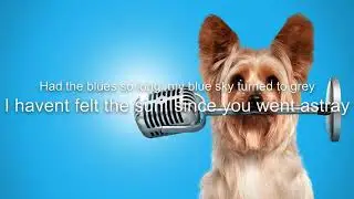 Blue skies lyrics! (Read bio)