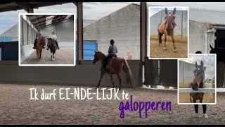Weekendvlog #4: GROOMEN en LOL met je KNOL! ❤️