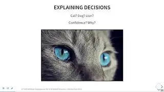 SE4AI: Explainability and Interpretability (Part 1)