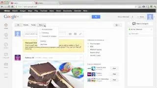 Google Plus Search Bar | Google Plus Coach
