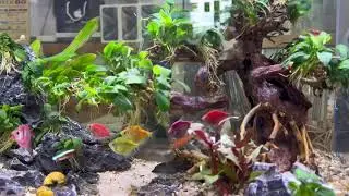 th&uacute; vui Tao nh&atilde; Tại Tech88