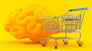 The brain science behind your shopping decisions - New Day NW