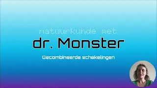 Elektrische schakelingen 4: gecombineerde schakelingen (2)
