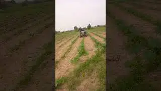 #shortTeri tractor2023 #viral #driver #hansi #dance #majak #tractor #video #trending #funny