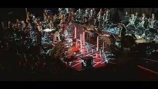 DOMi & JD Beck - Metropole Orkest