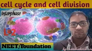 Cell cycle and cell divisions|| Interphase||NEET/Foundation|| L2#chandrakeshsir