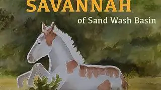 Savannah of Sand Wash Basin Children's Book of a Wild Mustang by Karen King