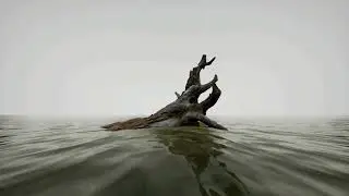 Rock The Dock