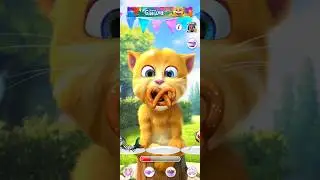 Ginger #cat #funboxtv #funny #boxtoxtv #cute #talkingtomfunnybox #games #funbox #gameplay #funnybox