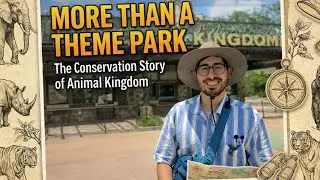 Disney&rsquo;s Animal Kingdom | What Makes This Park Unique, Conservation & Adventure 