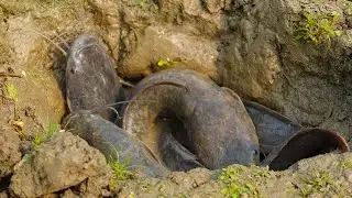Amazing Easy Fishing Video Dry Season Underground Monster Catching By Hand 2022 #fishing #fish_video