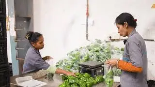 FRESH FOOD DISTRIBUTION  CENTER  HOSKOTE |CANDID VIDEO | CHANDU DIGITAL STDUIO |4K