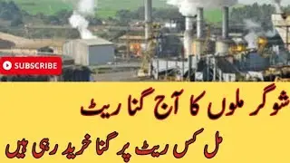 Today Sugar Mill Rate | Kamad Rate Sugar Mill | Gana Rate Sugar Mill 26 January 2023
