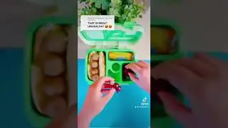 #bentgo #bentoboxlunch #bentobox #bentgokids #bento