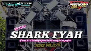DJ SHARK FYAH BRENGOS | BY WONG KULON PROJECT 