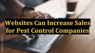 Websites Can Increase Sales for Pest Control Companies
