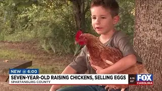 7-year-old raising chickens, selling eggs in Spartanburg Co.