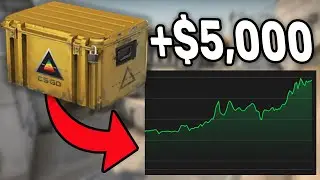 How I Made $5000 This Year From CS2 Investments 👀