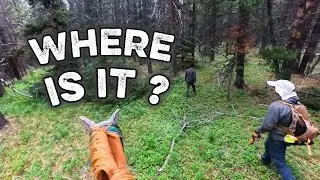 Lost in the Forest: The Hunt for an Abandoned Cabin. (Ep 7)