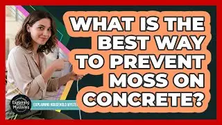 What Is The Best Way To Prevent Moss On Concrete?