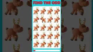 Find The Odd #155 | #quizify #virl #findoddoneout #reels #shortvideo #viralvideo #quiz #ytshorts #yt