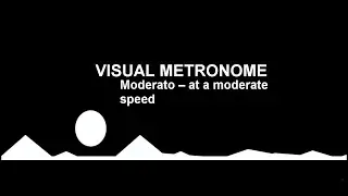 VISUAL METRONOME - MODERATO