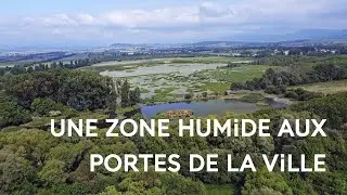 La zone humide de Salburua : une nature restaur&eacute;e