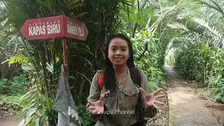 Explore - the beautiful waterfall / vacation while relaxing - off grid living