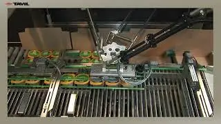 TAVIL MULTIFORMAT SYSTEM