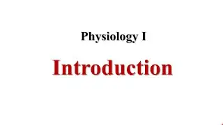 Introduction Physiology I