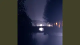 Nighttime reflections