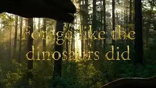 Foraging PSA | Environmental Science Final Project