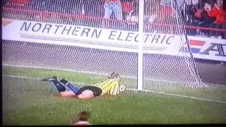 Chris Woods great saves