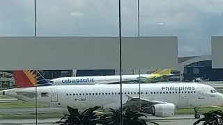 PAL Cebupac ❤️💙