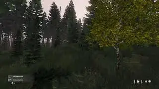 DayZ Offi,Driftshow,Olga,Military,Fun and Fail's Chernarus