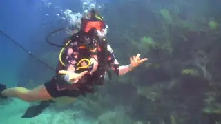 diveLIVE - First Dive - July 20th 2018