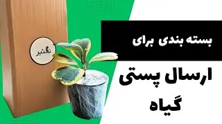 آموزش بسته بندی گیاه برای ارسال پستی |   HOW TO PACK LIVE PLANTS FOR SHIPPING