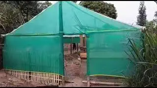 //Piggery farm and Other plants etc.in Doring Lungshel Gorubatha...
