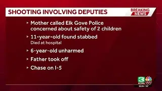 Elk Grove man suspected of killing 11-year-old son is shot after I-5 chase, officials say