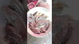 fish 🐟 #short#video#2024