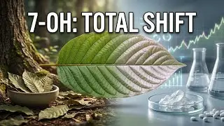 How 7-OH Changed the Kratom Industry