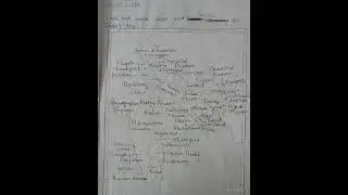 Label and Locate state and capitals on India's map
