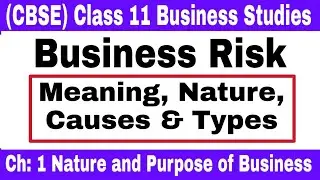 Video #11 || Business Risk Meaning, Nature, Causes & Types || Class 11 Business Studies ||