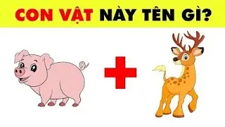 Đố Hình Bắt Chữ | Cà Rốt Khoa