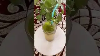 Hajmola Mocktail Drink🧋🧋#Hajmola #Mocktail #Drink #shorts #Viral #Pranati's Channel