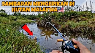 CASTING HARUAN || SAMBARAN MENGERIKAN DI HUTAN MALAYSIA 🇲🇾